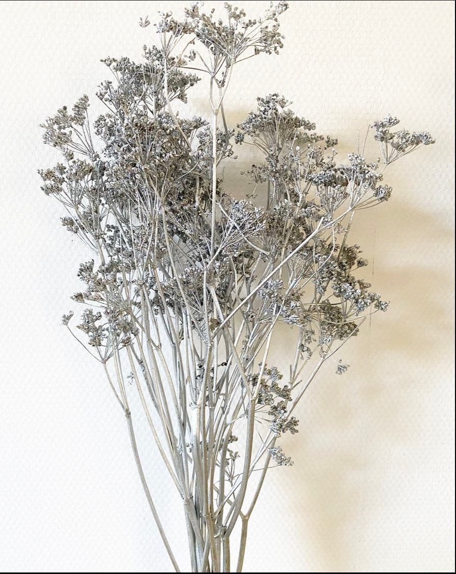 Bouquet de Fleurs Séchées Argentées