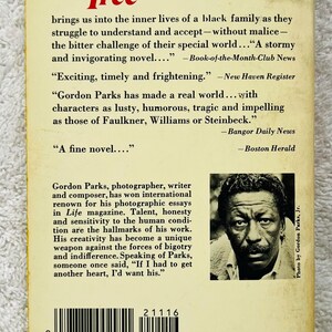 Pu&ograve; includere: La copertina del libro "The Learning Tree" presenta un titolo rosso e una foto in bianco e nero di un uomo. La copertina include citazioni e una breve biografia dell'autore, Gordon Parks.