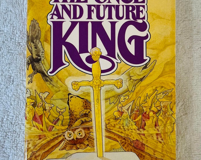 T. H. WHITE the Once and Future King 1987 Paperback Fantasy Classic