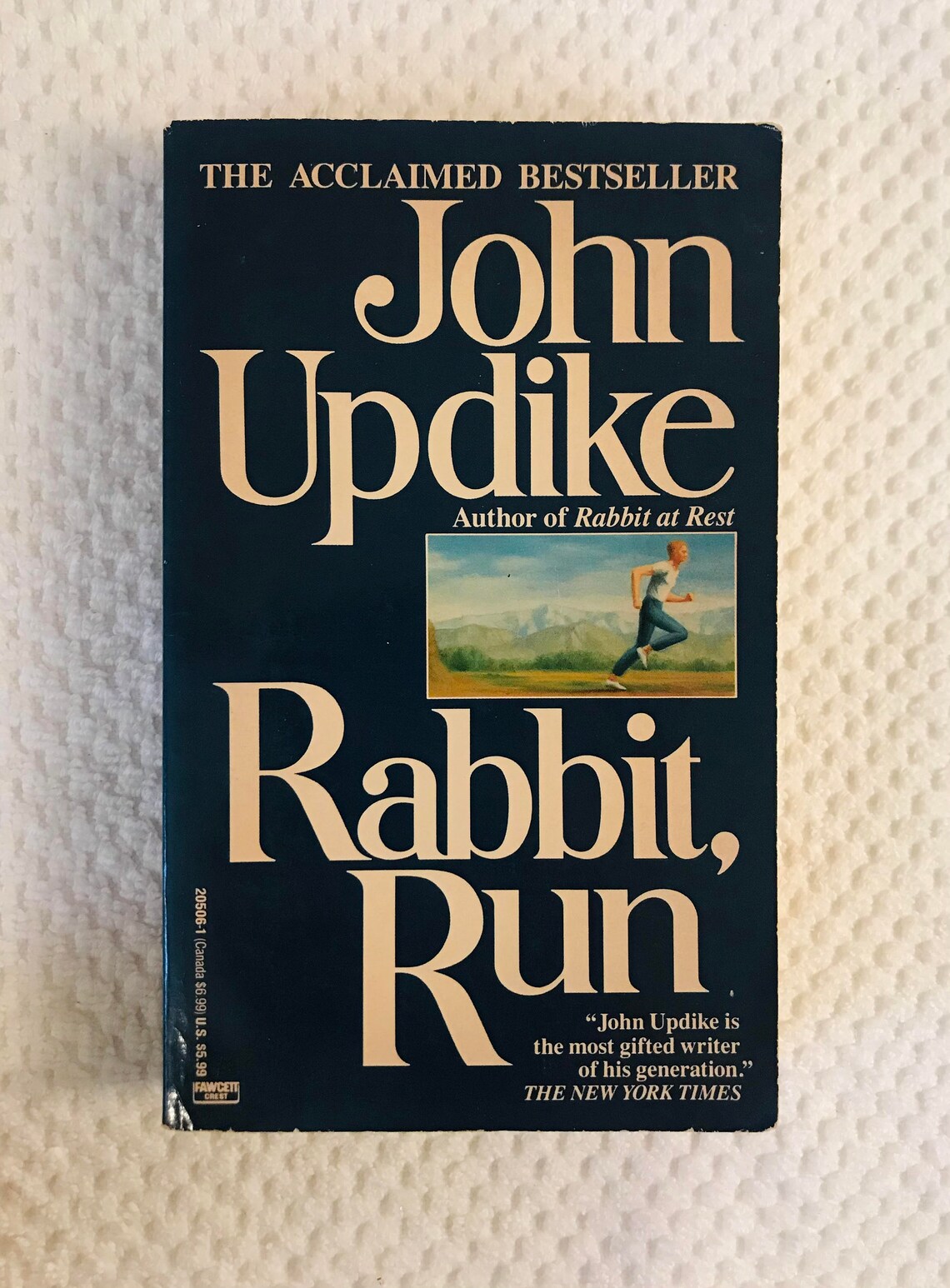 American essay new novel rabbit run image