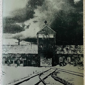 PRIMO LEVI - Moments of Reprieve - 1994 brittisk mjuk pärmutgåva