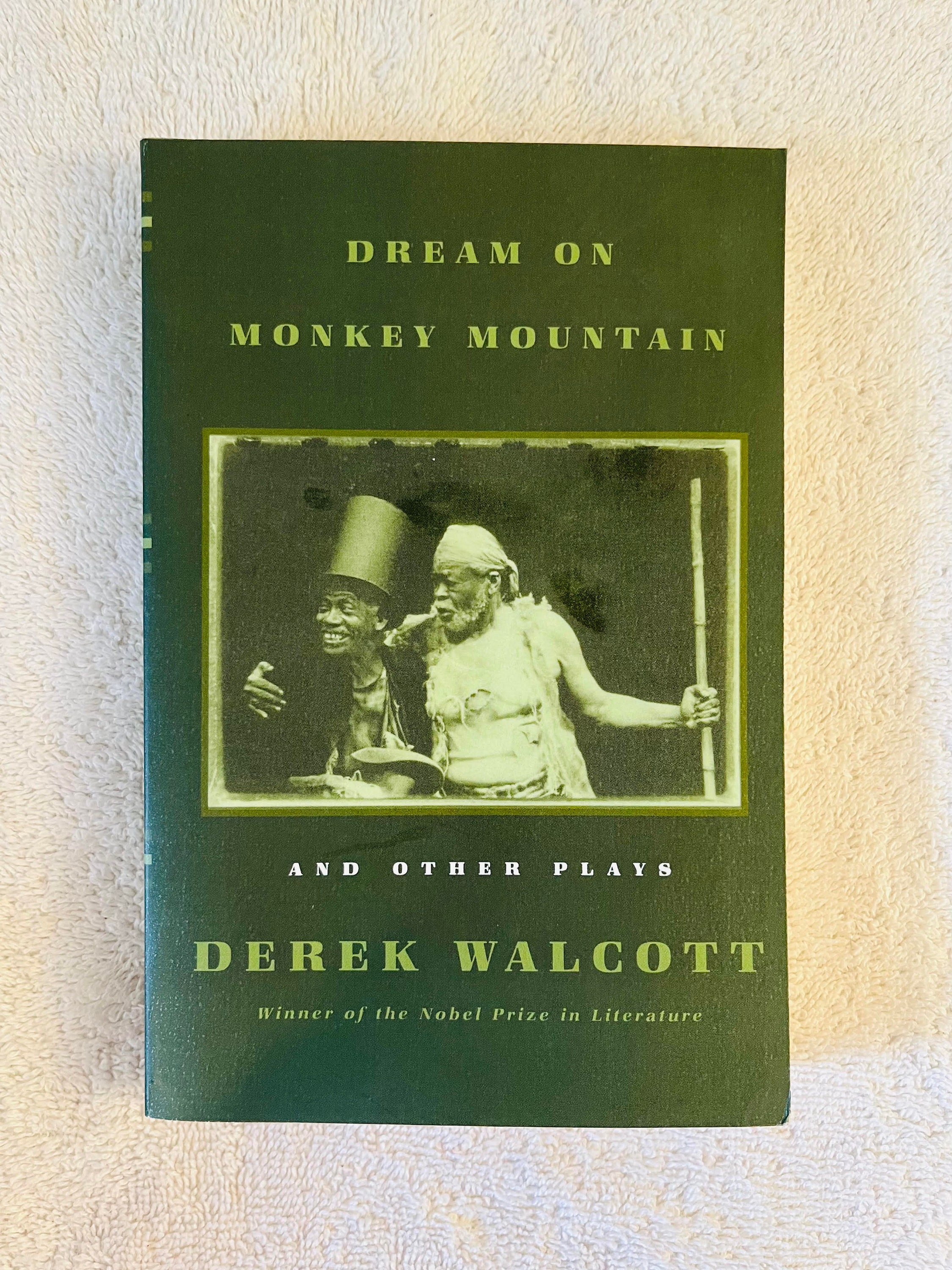 Dream On Monkey Mountain Images Clipart
