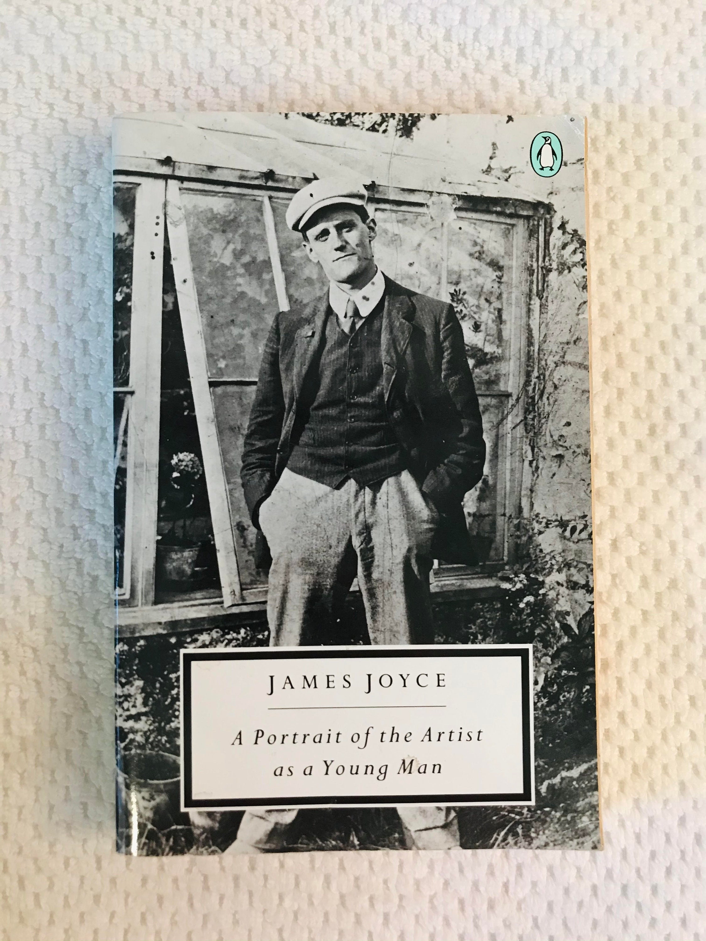 james joyce portrait of the artist james joyce portrait of the artist
