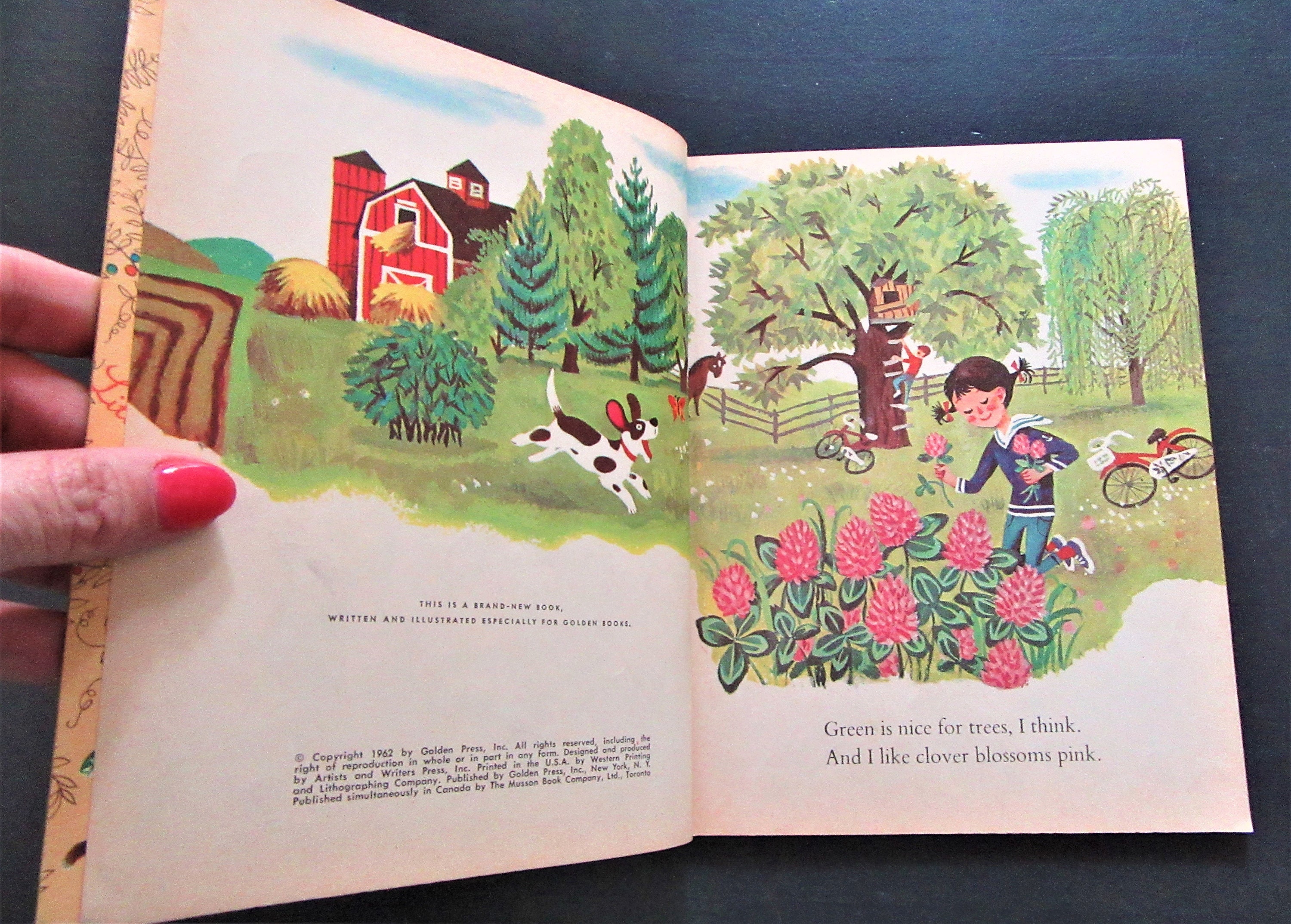 1962 Vintage Little Golden Book: Colors Are Nice, Adelaide Holl - Etsy
