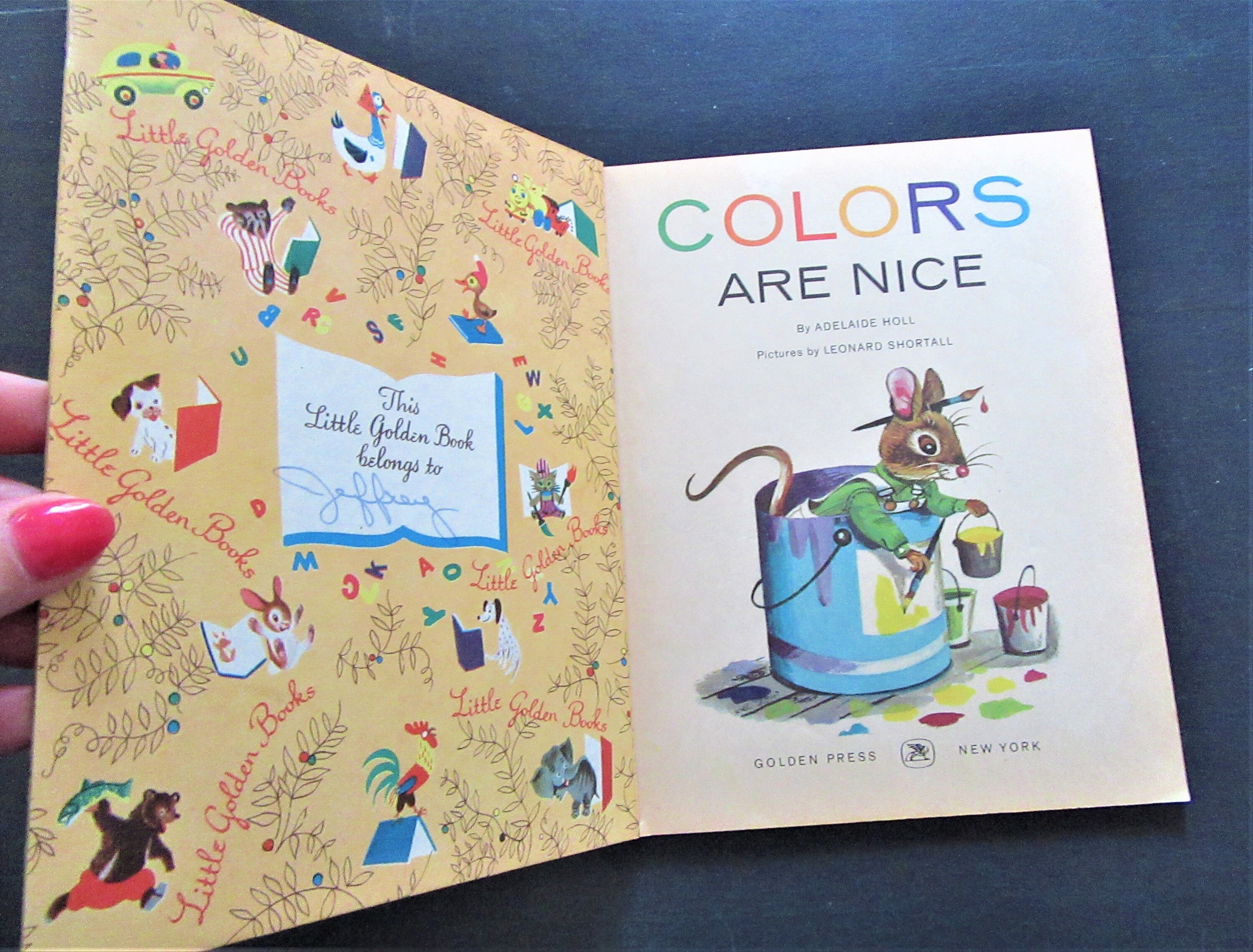 1962 Vintage Little Golden Book: Colors Are Nice, Adelaide Holl - Etsy