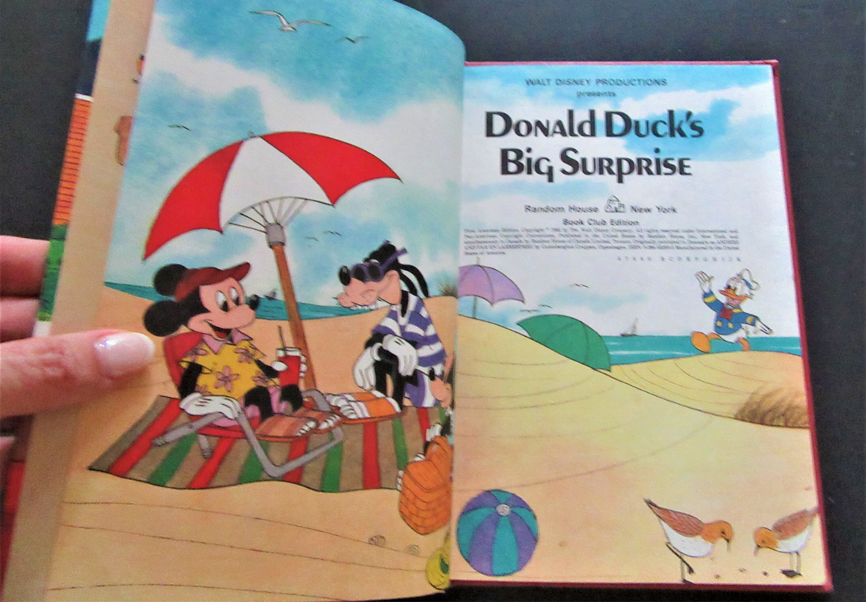 1982 Walt Disney Presents DONALD DUCK'S Big Surprise / Walt