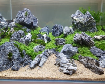 Seiryu Stone Freshwater Mixed Sizes (by the lb) Aquarium Aquascaping Terrarium