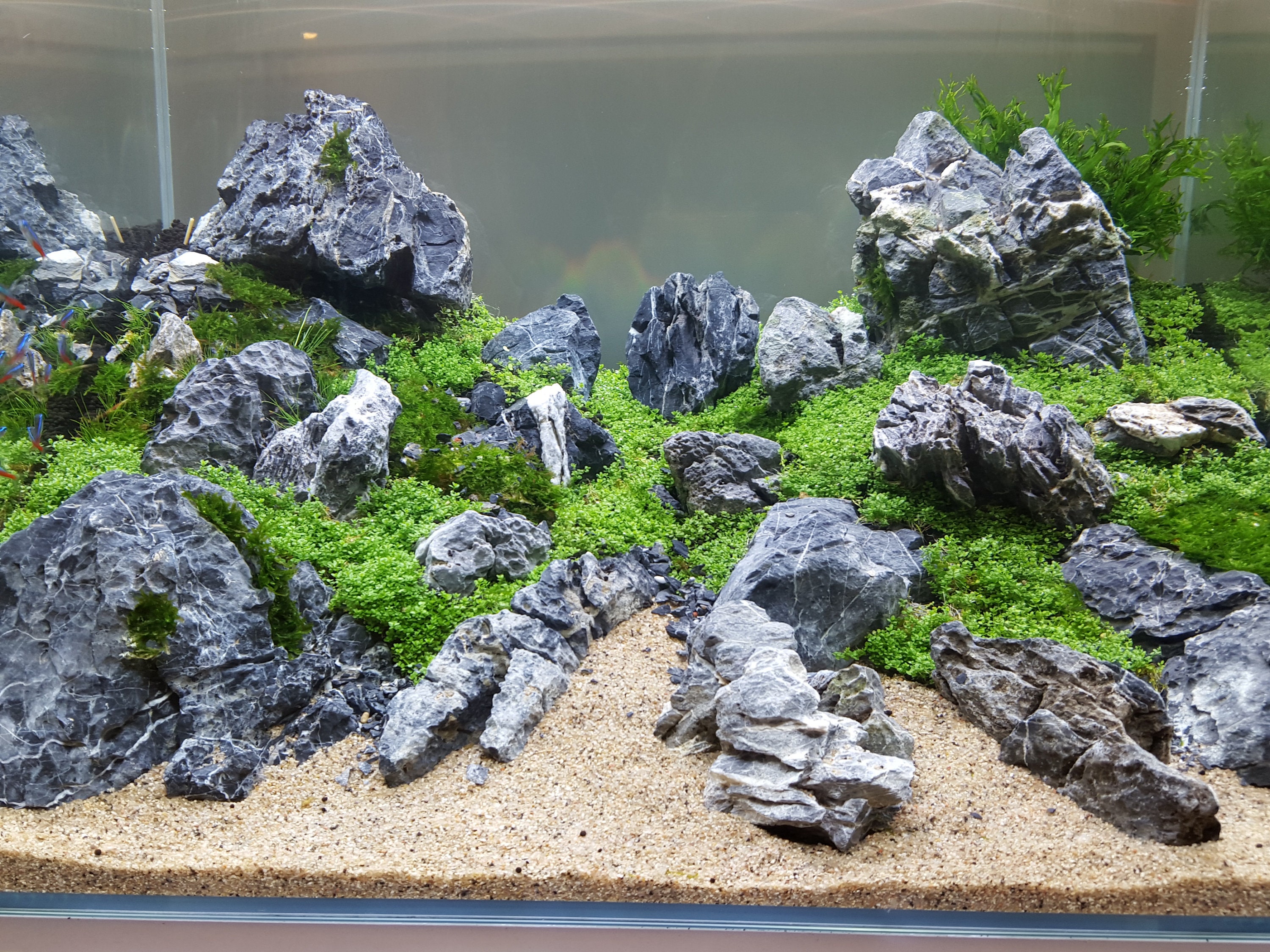 AQUARIUM FISH TANK ROCK AQUASCAPING NATURAL GREY MOUNTAIN STONE IWAGUMI (10  KG)