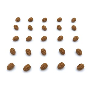 Nature Tokens for Cascadia - 25 Pinecone Pieces | Board Game Accessories and Upgrades