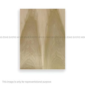 Poplar Guitar Drop Tops 21&quot; x 7&quot; x 1/4&quot;