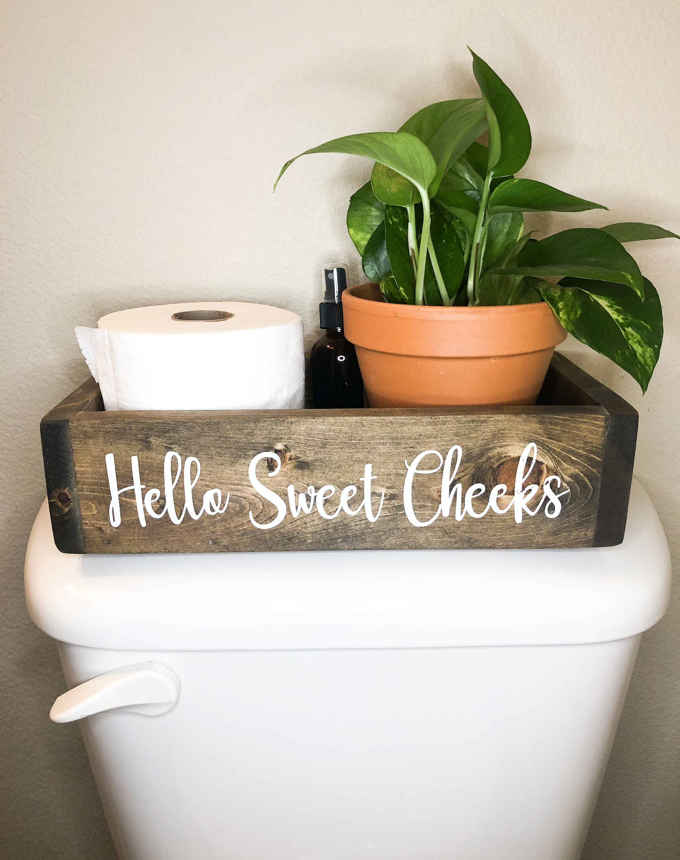 Hello Sweet Cheeks toilet paper box bathroom decor toilet Etsy