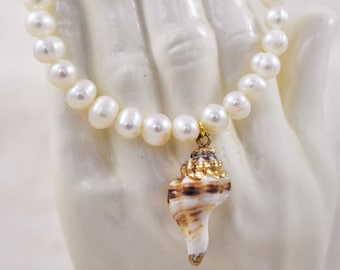 Bracelet - Freshwater Pearl Bracelet with Gold Tipped Natural Seashell Charm
