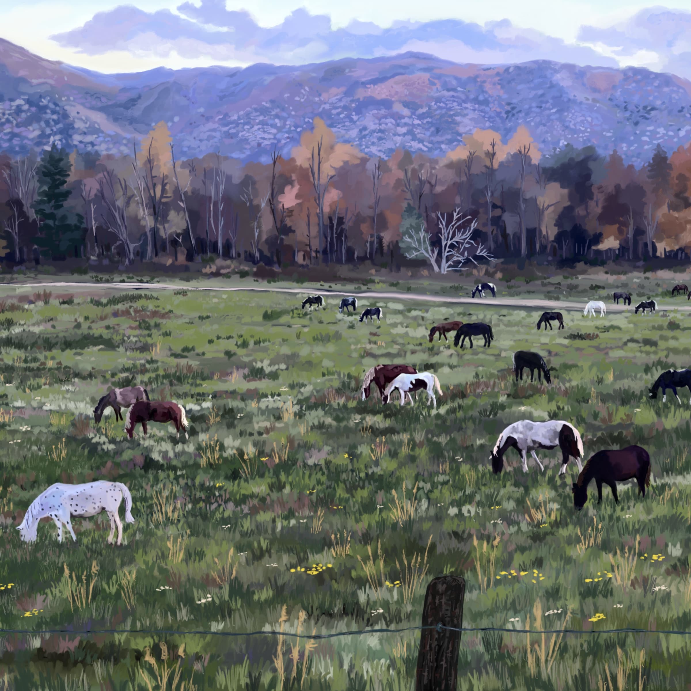Sunset Valley of Horses Giclee Art Print Horse Illustration Etsy