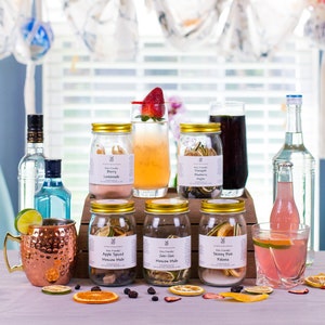 BIRTHDAY COCKTAIL KIT Bartender in a Jar Vodka, Gin, Rum, Whiskey, Bourbon, Tequila Great Cocktail Gift Fun Birthday Mixed Drink Kit image 10