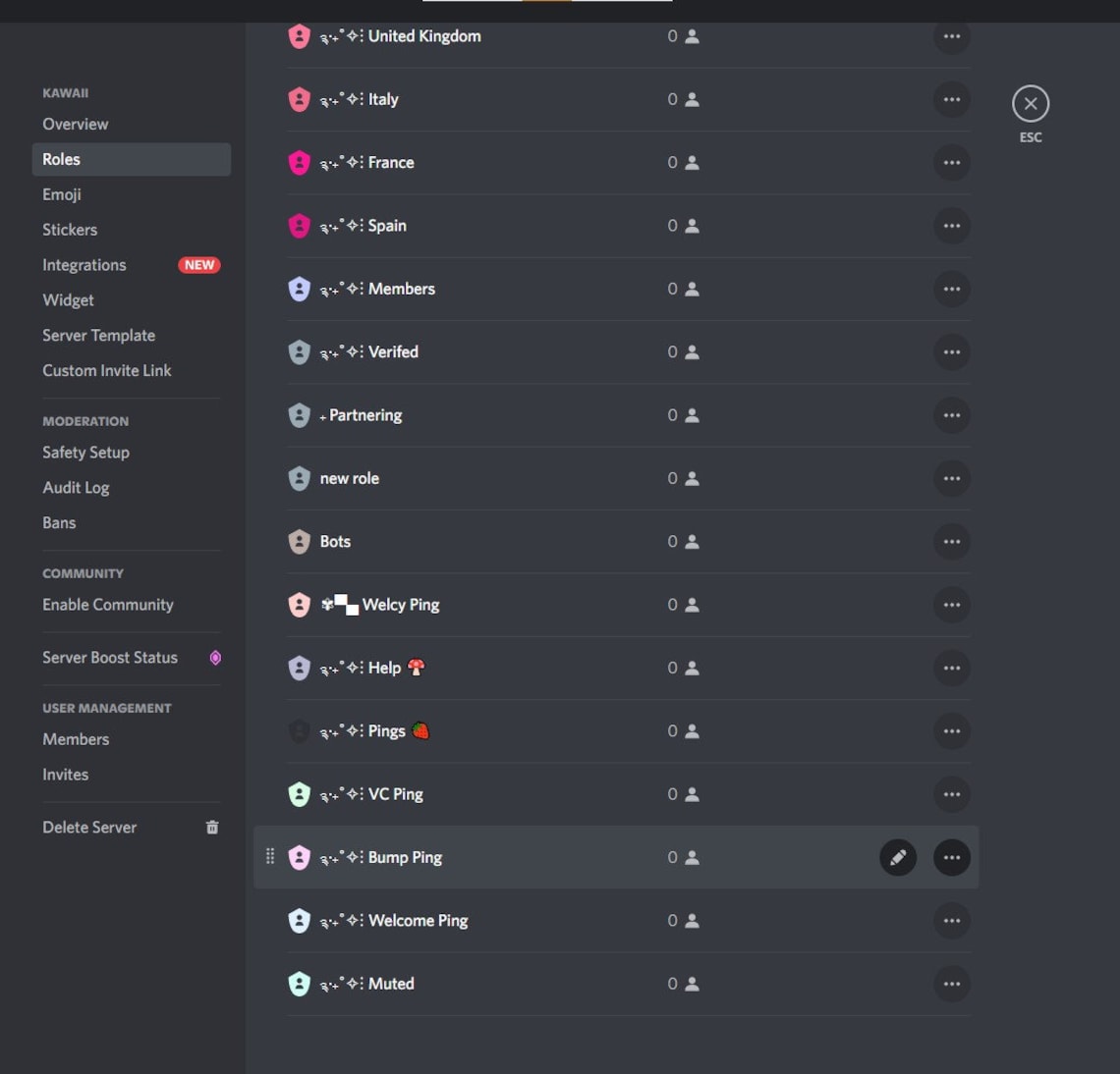 Cute Kawaii Aesthetic Discord Server Template - Etsy