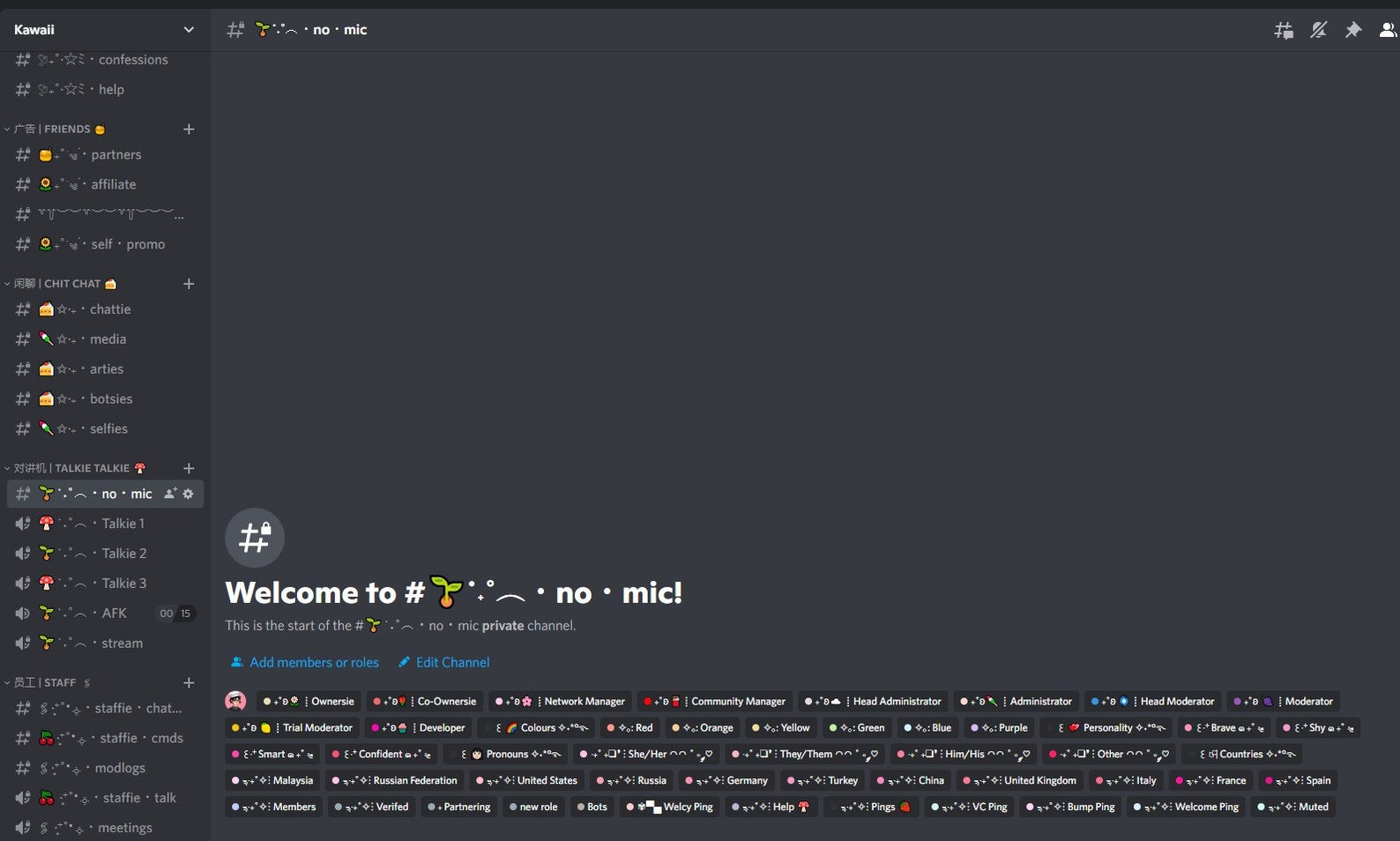 Cute discord template Cute discord template
