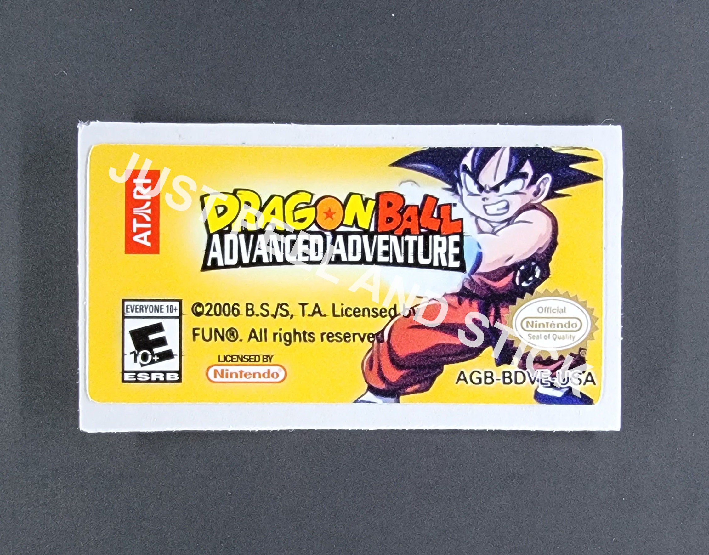 The Dragon Ball Adventure