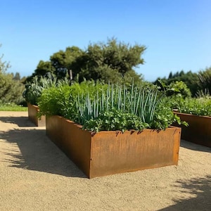 Rectangular Raised Corten Steel DIY Planter Bed