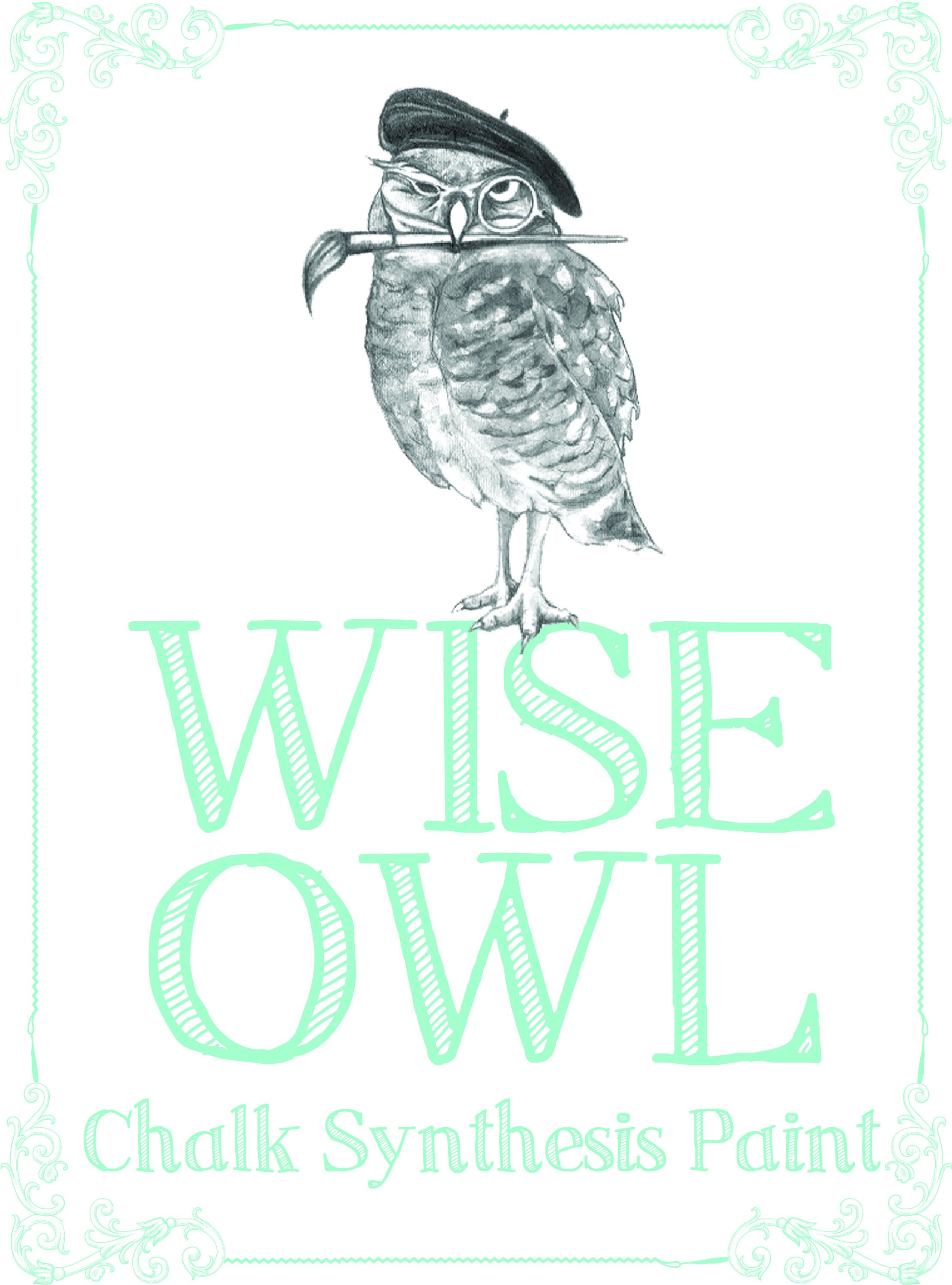 Wise Owl Chalk Synthesis Paint Foxtrot Etsy