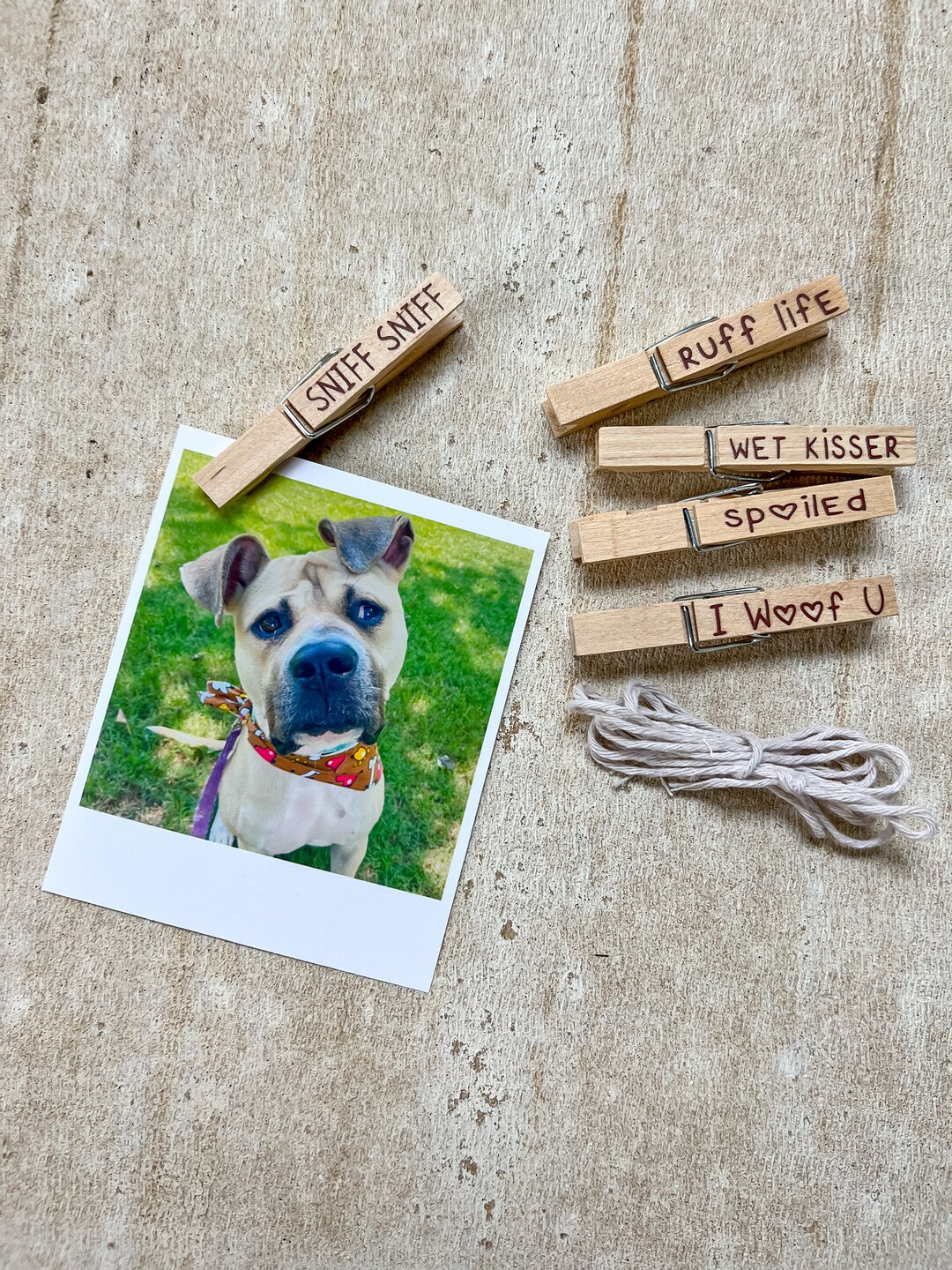 Dog Lover Clothespin Photo Holder Cute Wall Decor for Dog Etsy