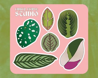 Leaves Sticker Sheet | Glossy Die-cut Sticker Sheet | Original Botanical Illustration | Journal & Laptop Sticker