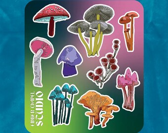 Vibrant Mushrooms Sticker Sheet | Glossy Die-cut Sticker Sheet | Original Flora and Fauna Illustration | Journal & Laptop Sticker