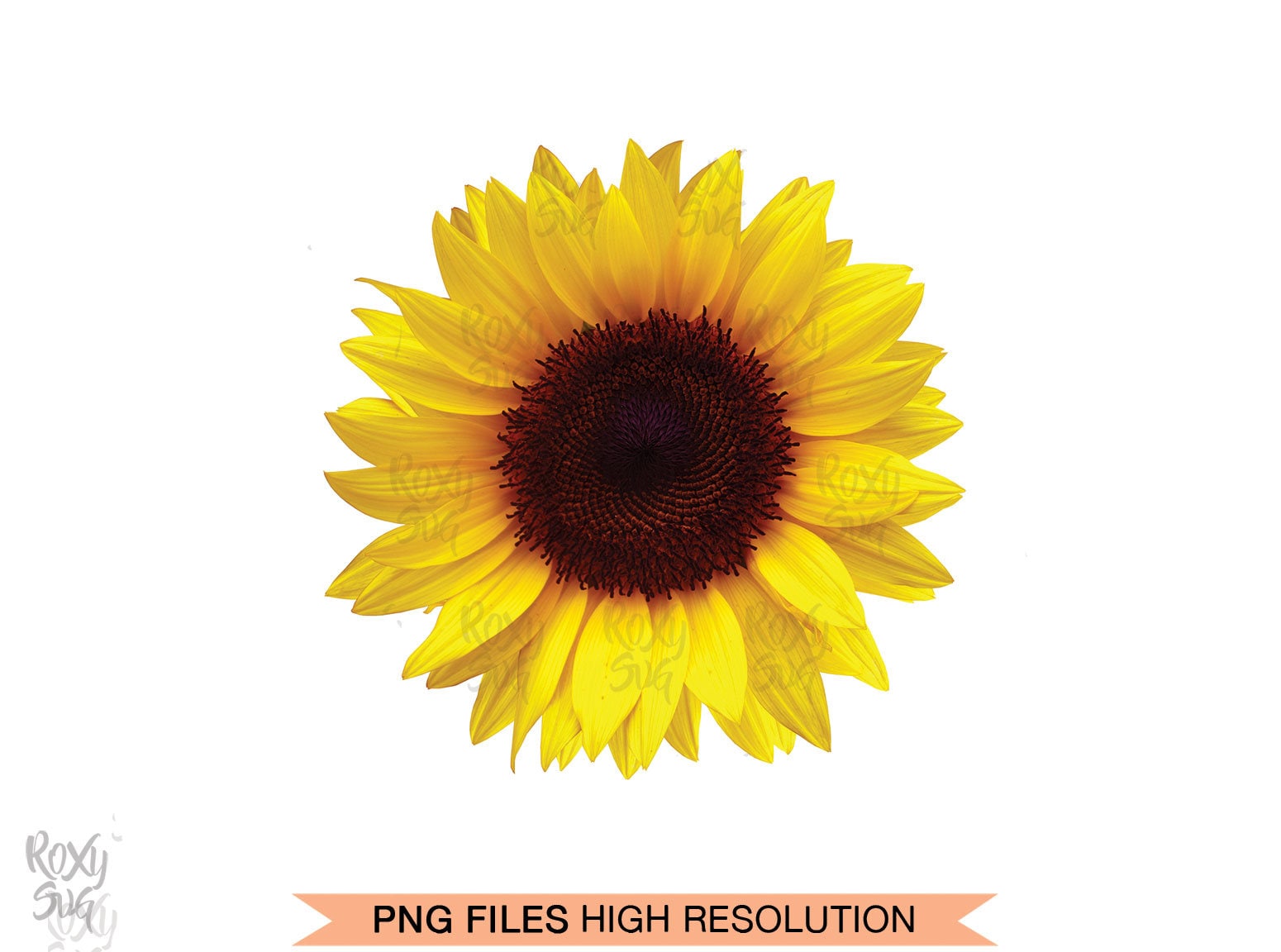 Half Sunflower Whole Sunflower Sunflower Clipart Sunflower | Etsy