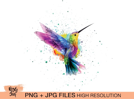 Download Watercolor Hummingbird Sublimation Designs Downloads Etsy