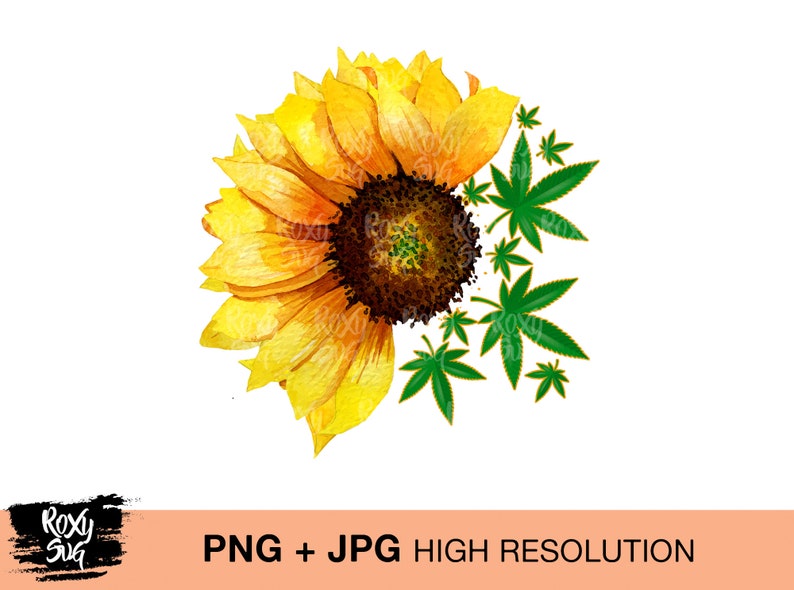 Free Free 84 Sunflower Pot Leaf Svg SVG PNG EPS DXF File