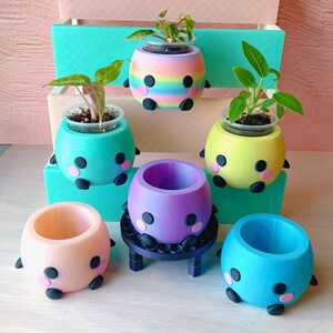 May include: A collection of six spherical planters with small black feet and pink circular cheeks. The pots come in various solid colors including yellow, purple, blue, and peach, plus one rainbow-striped pot. Three pots contain small green plants.