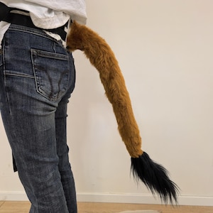 Könnte beinhalten: Ein langer, plüschiger Kunstfell-Tierschwanz in warmem Braun mit einem dicken, tiefschwarzen Fellbüschel an der Spitze. Der Schwanz ist an einem schwarzen, verstellbaren Gürtel befestigt, der über einer blauen Jeans und einem weißen Oberteil getragen wird.