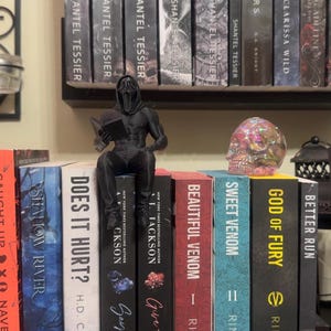 Puede incluir: Una estanter&iacute;a de libros con objetos decorativos. Un cuervo negro est&aacute; posado sobre una calavera, y una figura negra lee un libro. Los t&iacute;tulos incluyen "Lights Out", "Caught Up" y "Does It Hurt?" Tambi&eacute;n se ve una calavera decorativa y otros libros.