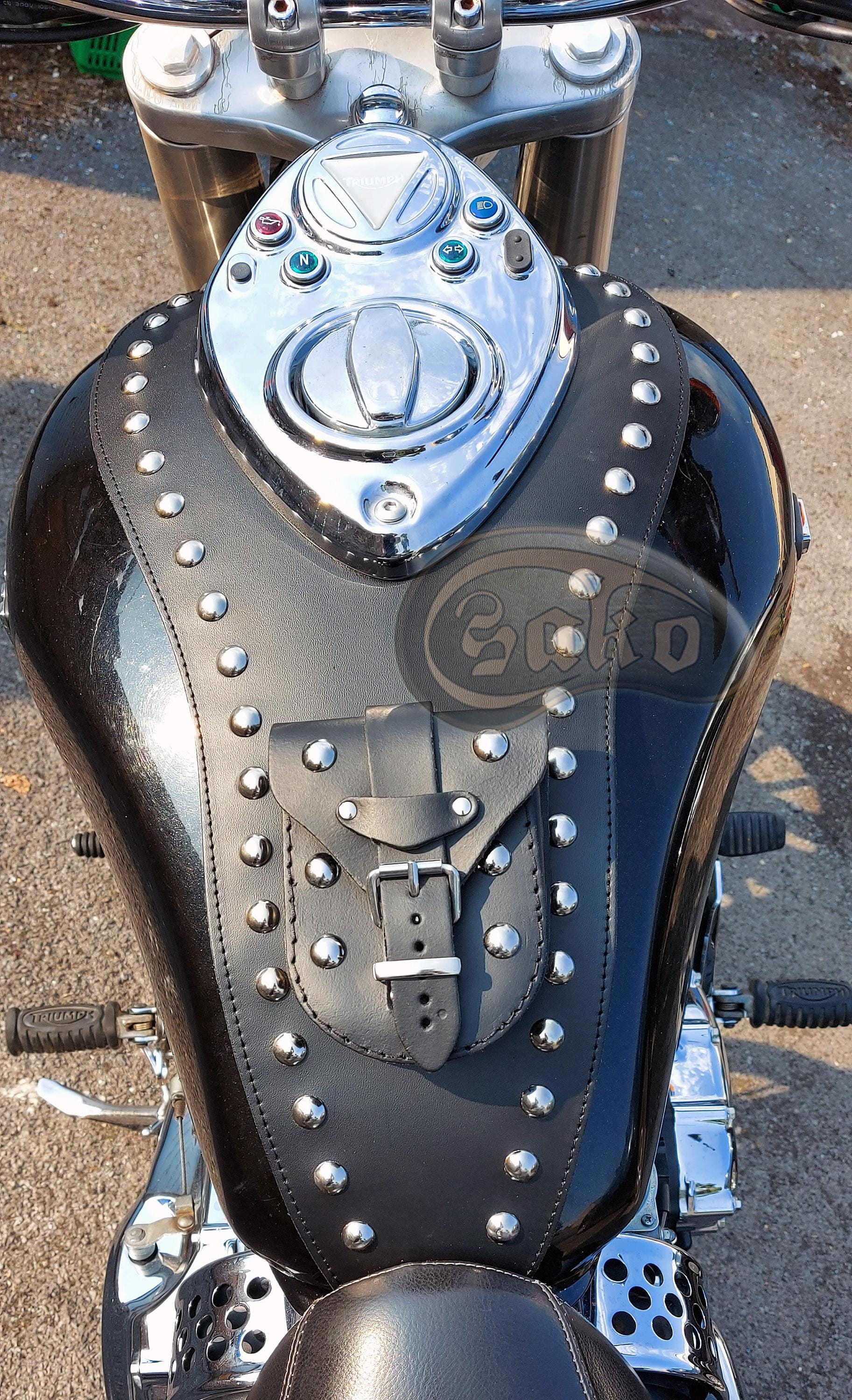 Saddlebag triumph