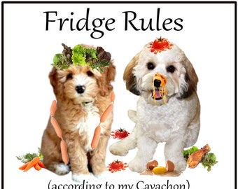 Cavachon Dog Lovers Gift -  Fridge Rules according to my Dog, Large Flexible Magnet.