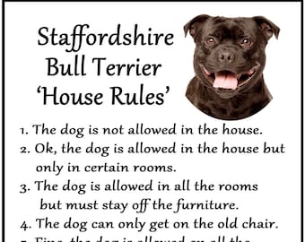 staffy presents