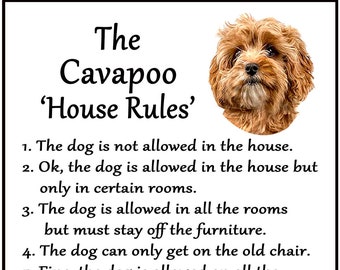 cavapoo gifts