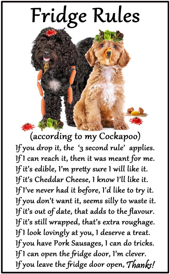 Fridge magnet made Dog /& fun humour words U.K COCKAPOO perfect gift