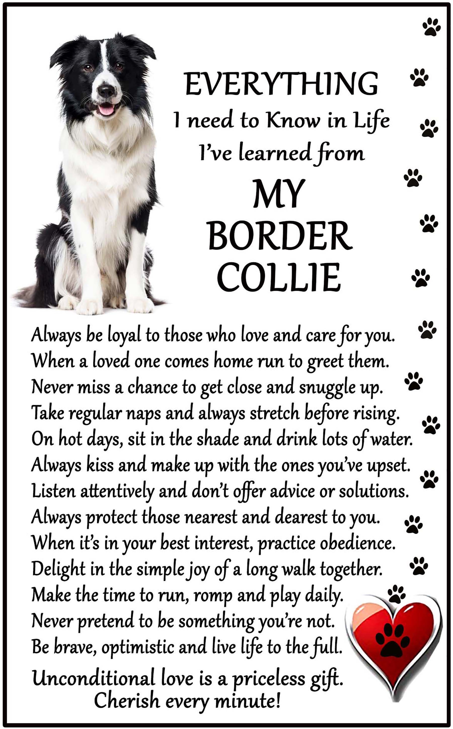 Border Collie Dog Gift Etsy UK