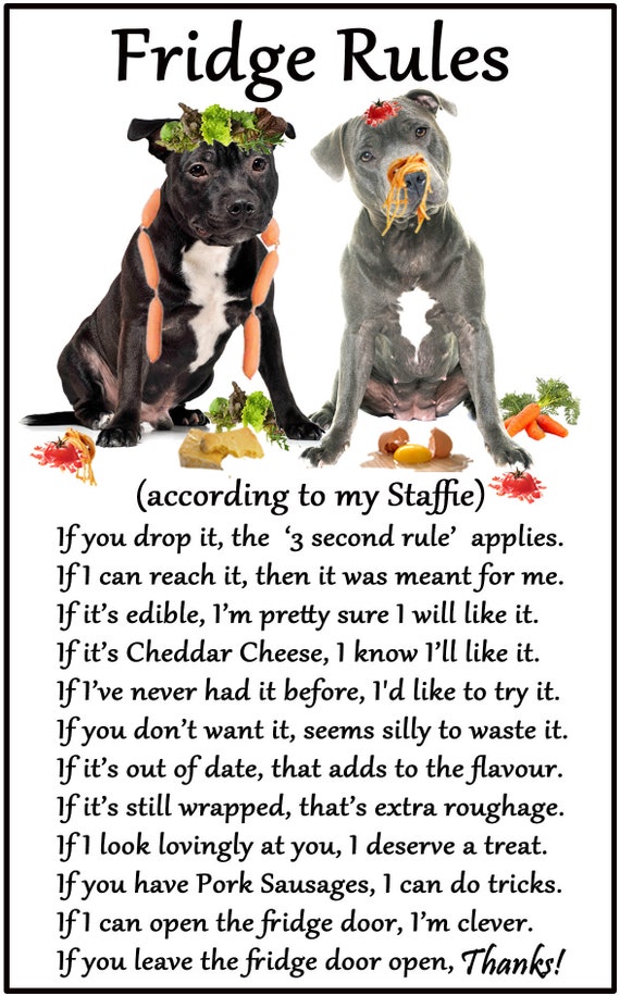 Blue hotsell staffy gifts