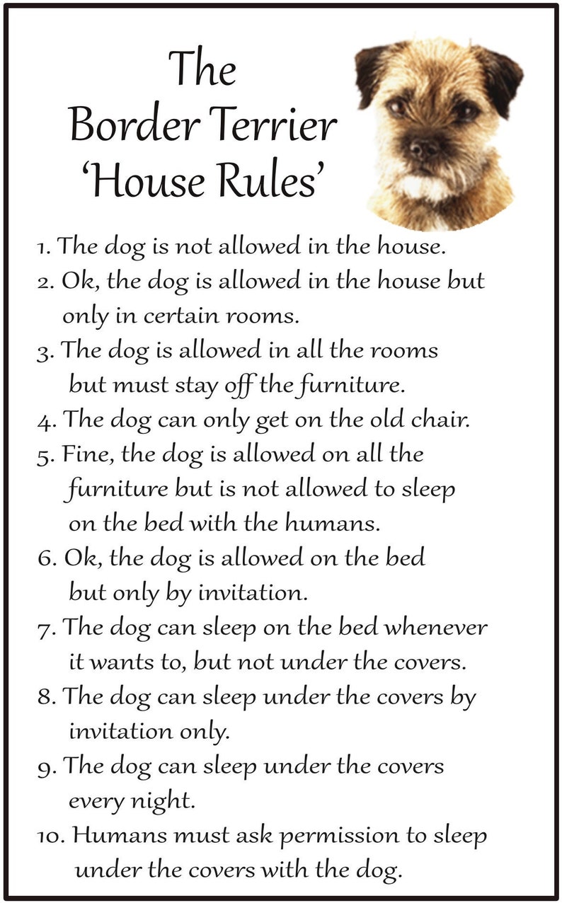 Border Terrier Dog Lovers Gift House Rules Large Flexible Magnet. image 1