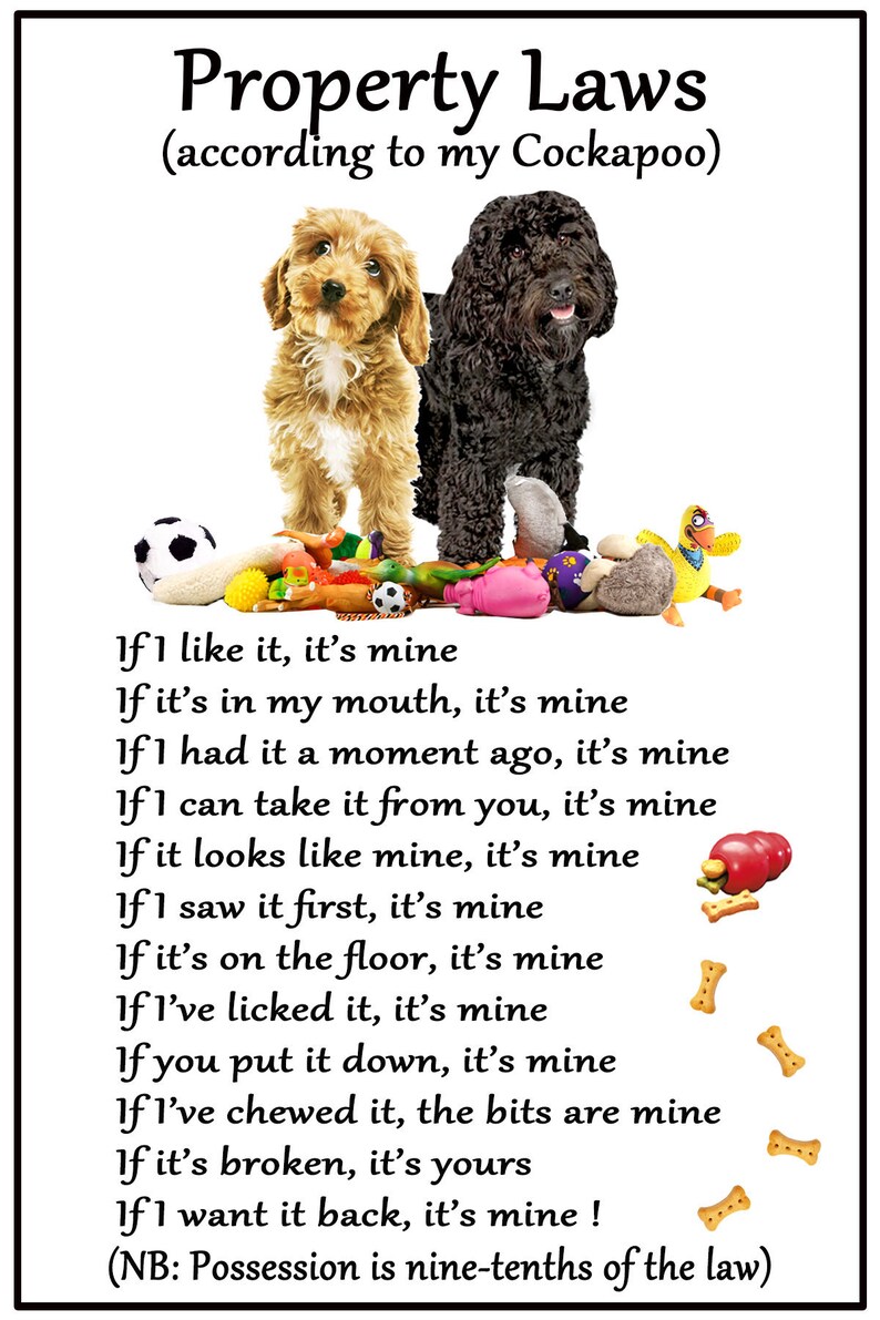 Cockapoo Dog Gift Property Laws Flexible Fridge 6 X 4 Etsy UK