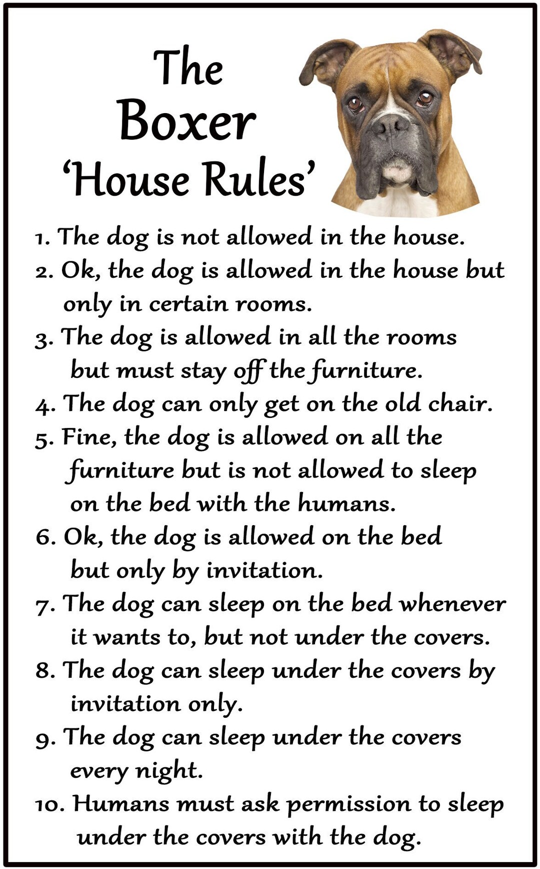 Boxer house 2024