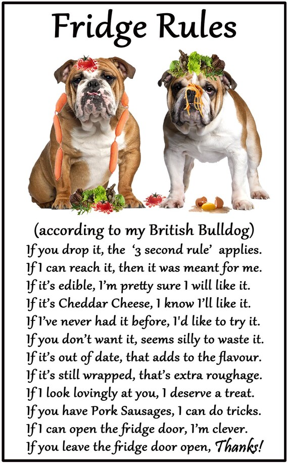 novedad Laminado Sign-Ideal Regalo/presente Reglas de Bulldog francés-es mía novedad Laminado Sign-Ideal Regalo/presente Reglas de Bulldog francés-es mía