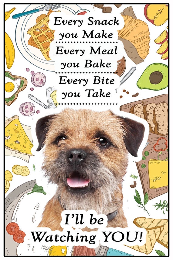 Someday Border Terrier dog memorial Flexible Fridge Magnet