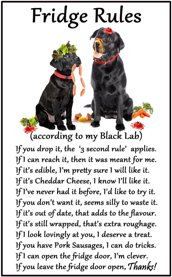 gifts for black lab lovers