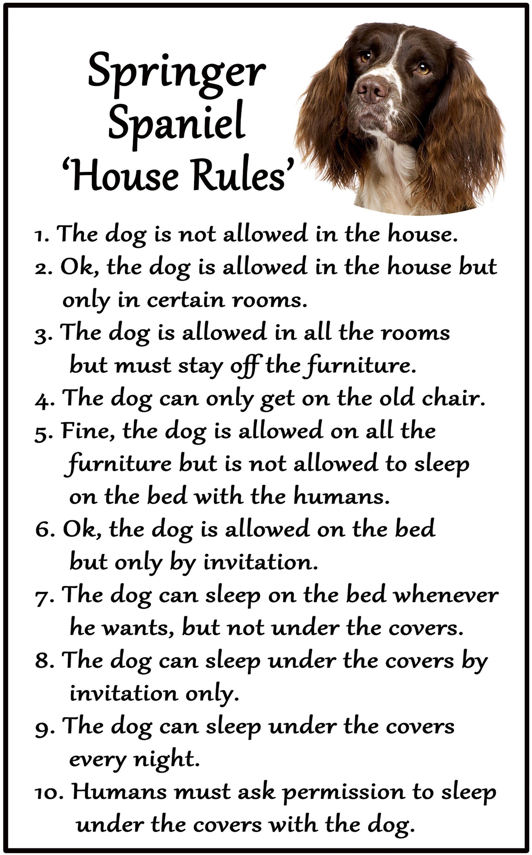 gifts for spaniel lovers