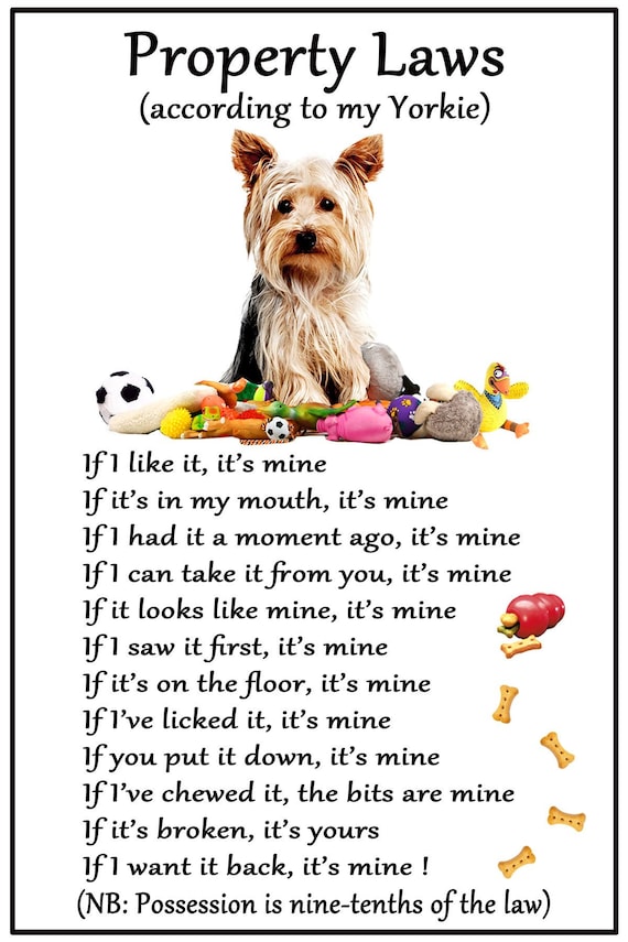 Funny Dog Yorkshire Terrier House Rules Refrigerator Magnet Gift Card Idea