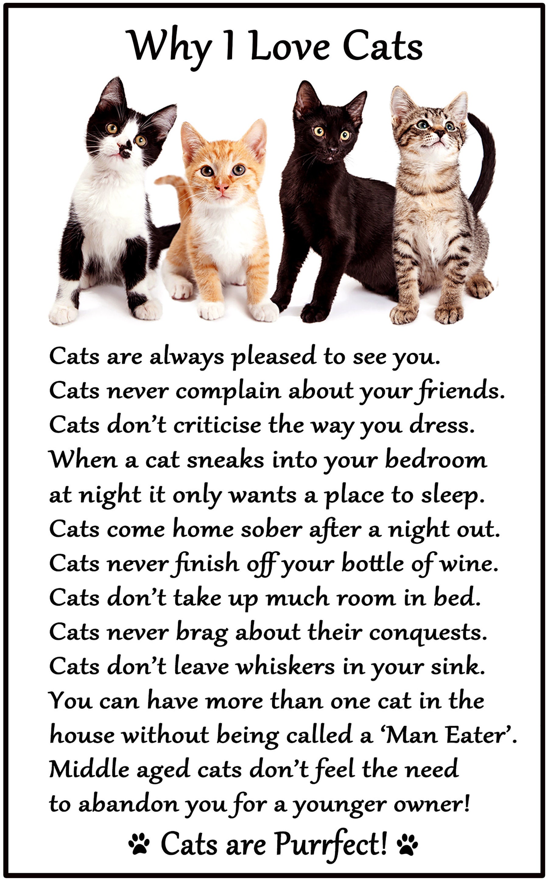 Why i hotsell love cats