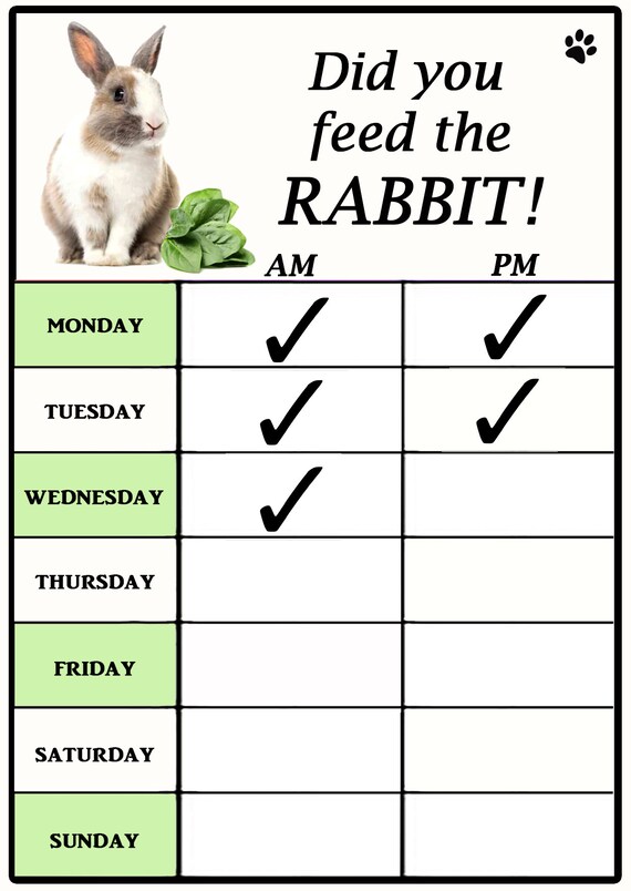 Rabbit Feeding Diagram