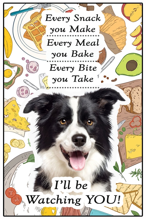 my Border Collie Heart 6/" x 4/" Oval Dog Magnet for Cars and Fridges I
